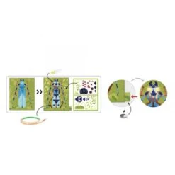 Djeco Knutselset Elektro - Insectarium DJ09315 -Speelgoed Voor Kinderen Winkel djeco djeco knutselset elektro insectarium dj09315 2
