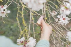 Grapat Kabouters "Sticks" 18-178 -Speelgoed Voor Kinderen Winkel grapat grapat kabouters sticks 18 178 4