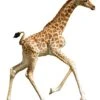 Puzzel I AM Lil' - Giraffe 100 Stukjes 2 Puzzel I AM Lil' - Giraffe 100 Stukjes -Speelgoed Voor Kinderen Winkel madd capp puzzel i am lil giraffe 100 stukjes