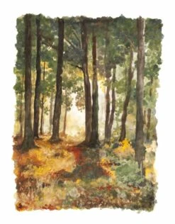 Natural Earth Paint Kit - 6 Kleuren Natuurlijke Kinderverf -Speelgoed Voor Kinderen Winkel natural earth paint natural earth paint kit 6 kleu 3