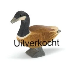 Ostheimer Canadese Gans 22701