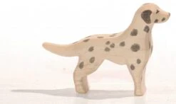 Ostheimer Dalmatiër 10511